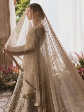 Champagne Embellished / Embroidered Bridal Veil 3 Meters